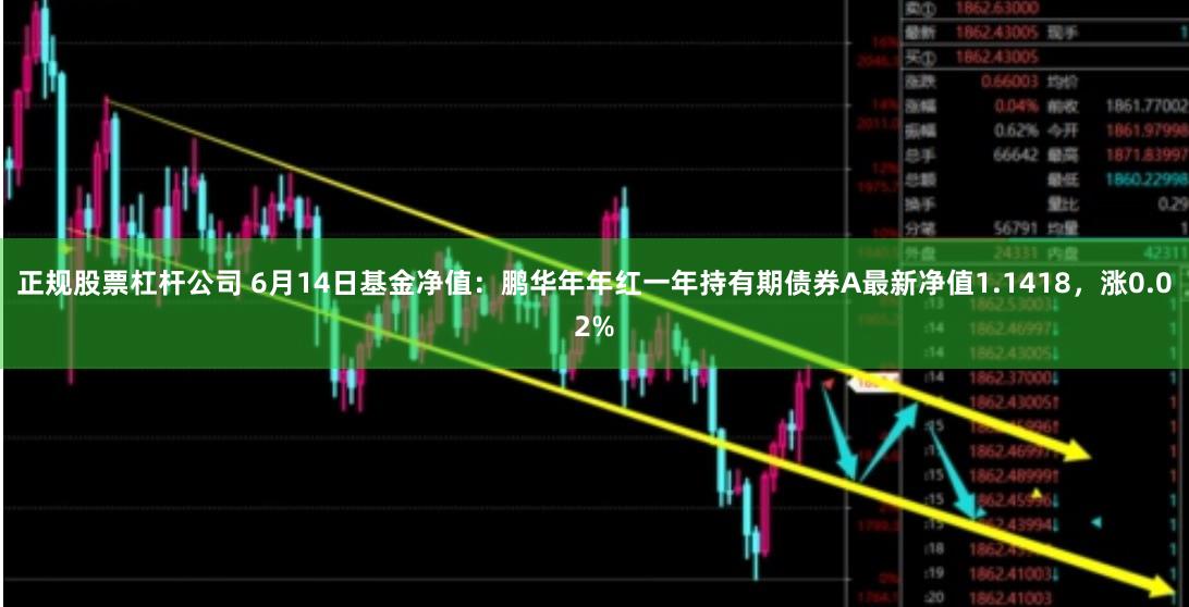 正规股票杠杆公司 6月14日基金净值：鹏华年年红一年持有期债券A最新净值1.1418，涨0.02%