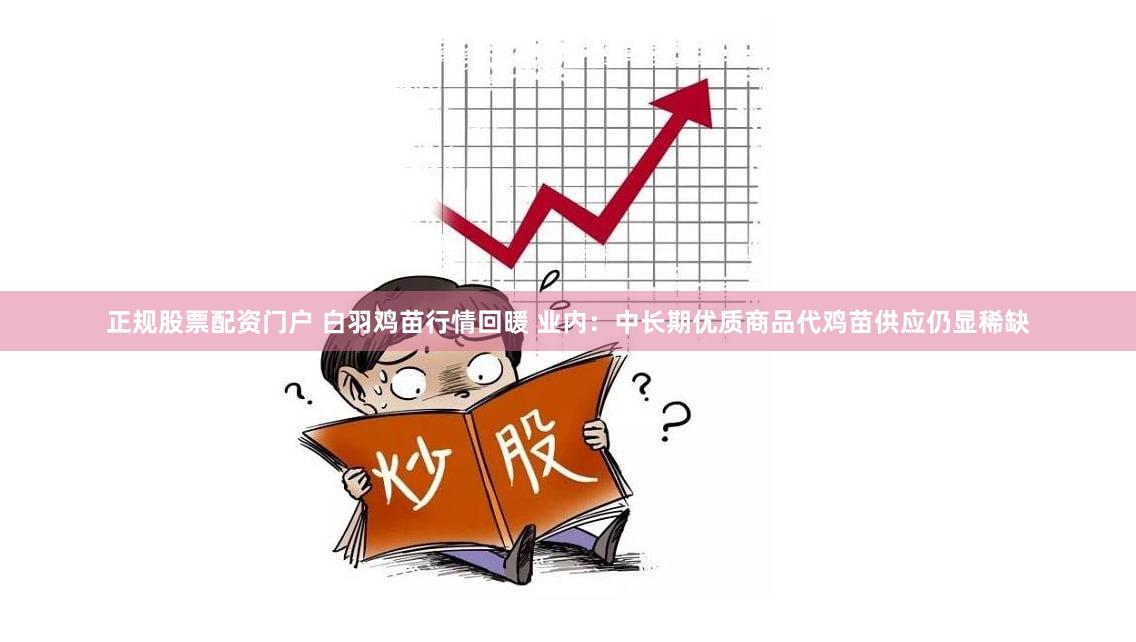 正规股票配资门户 白羽鸡苗行情回暖 业内：中长期优质商品代鸡苗供应仍显稀缺